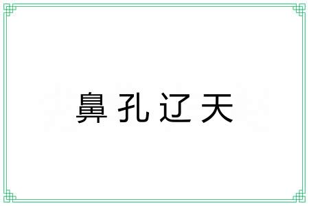 鼻孔辽天