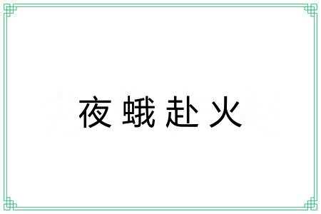 夜蛾赴火